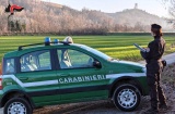 Concorso per 4.918 Allievi Carabinieri in ferma quadriennale del ruolo Appuntati e Carabinieri